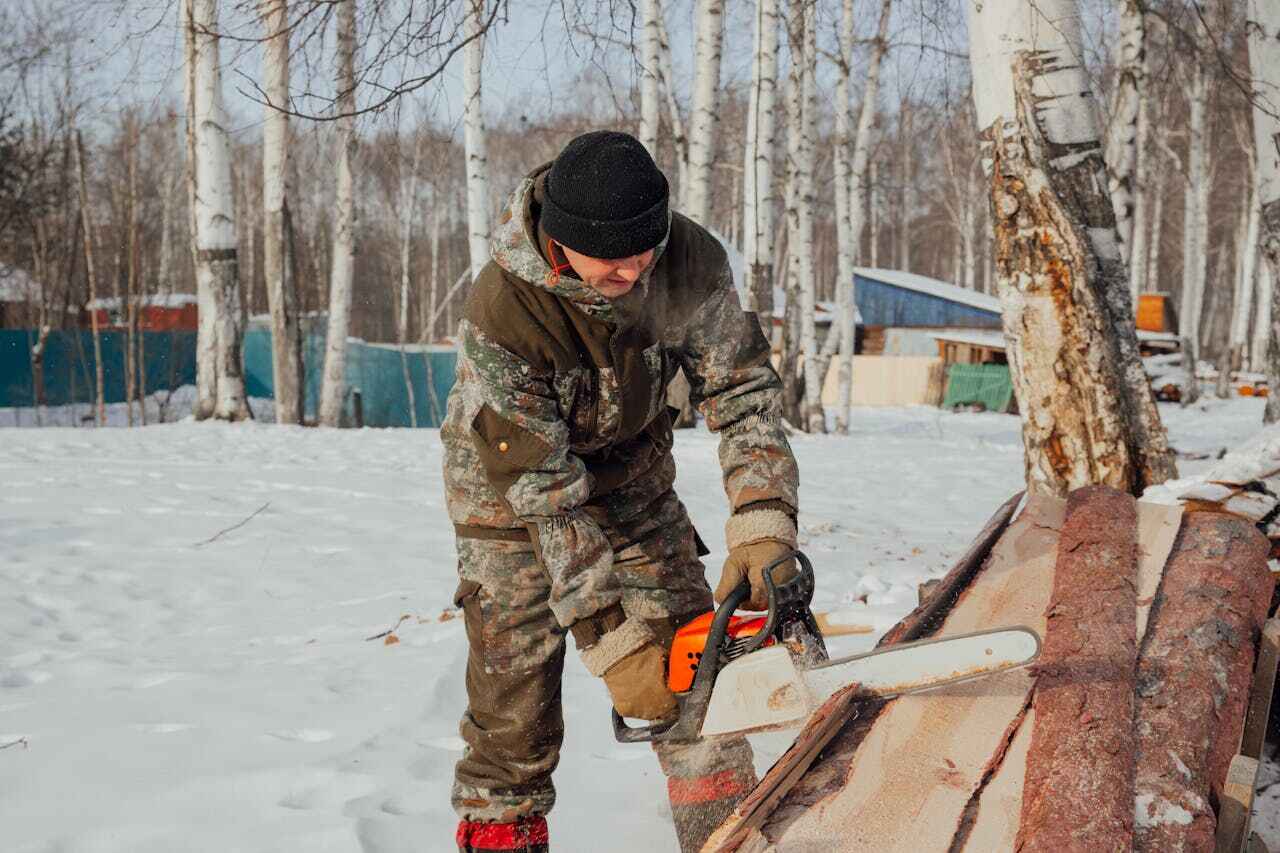 Best Stump Grinding Near Me  in Stanton, TX